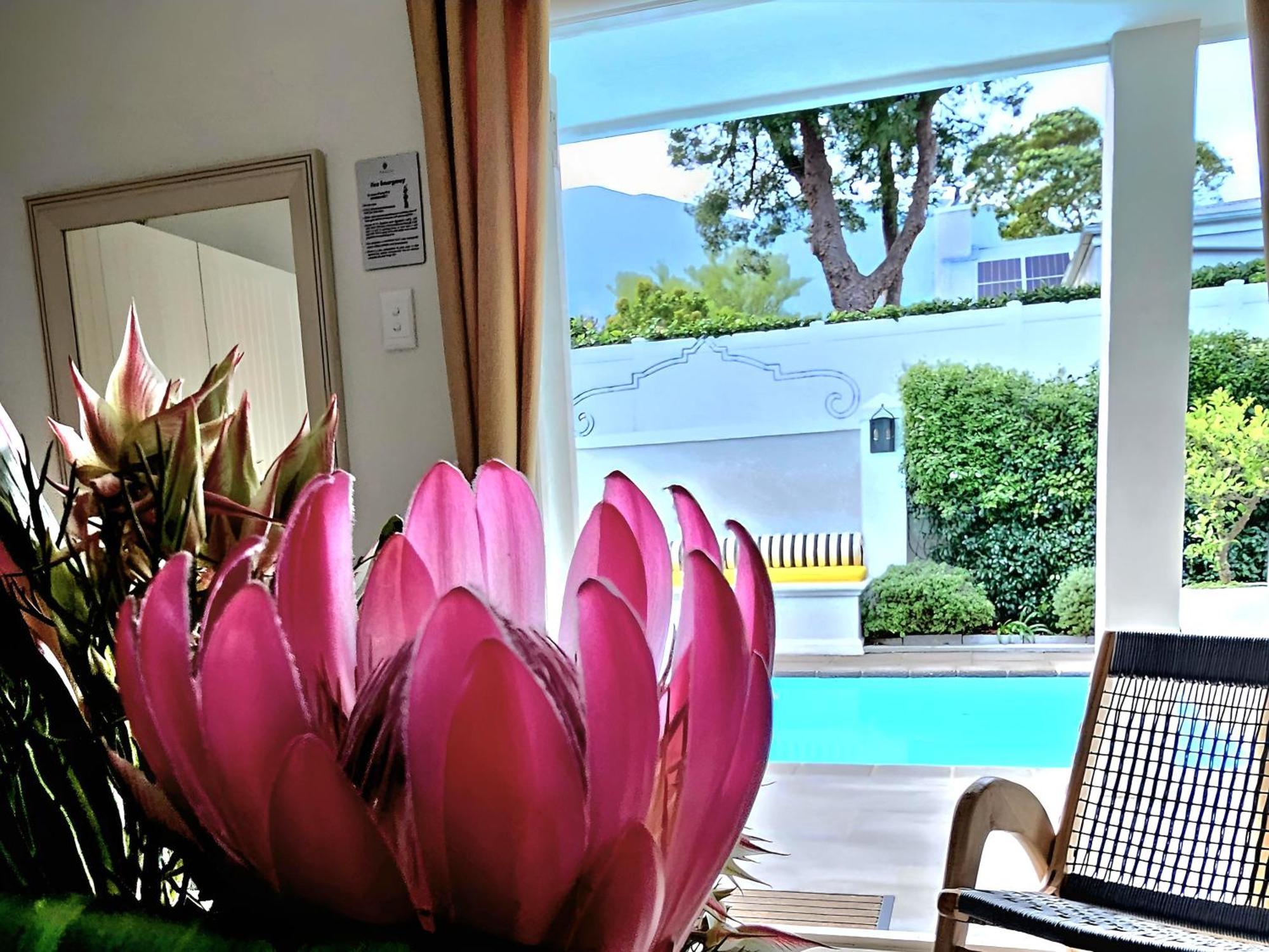 Fleur Du Soleil Luxury Guesthouse Franschhoek Exterior foto